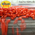 Goji Berry-350PCS / 50g